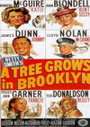 A Tree Grows in Brooklyn Poster